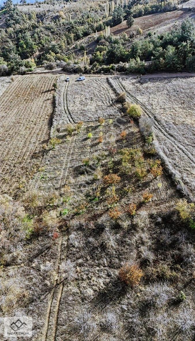 Turgutlu Dağyeniköy Mahallesinde 1907 M2 Tek Tapu Satılık Tarla