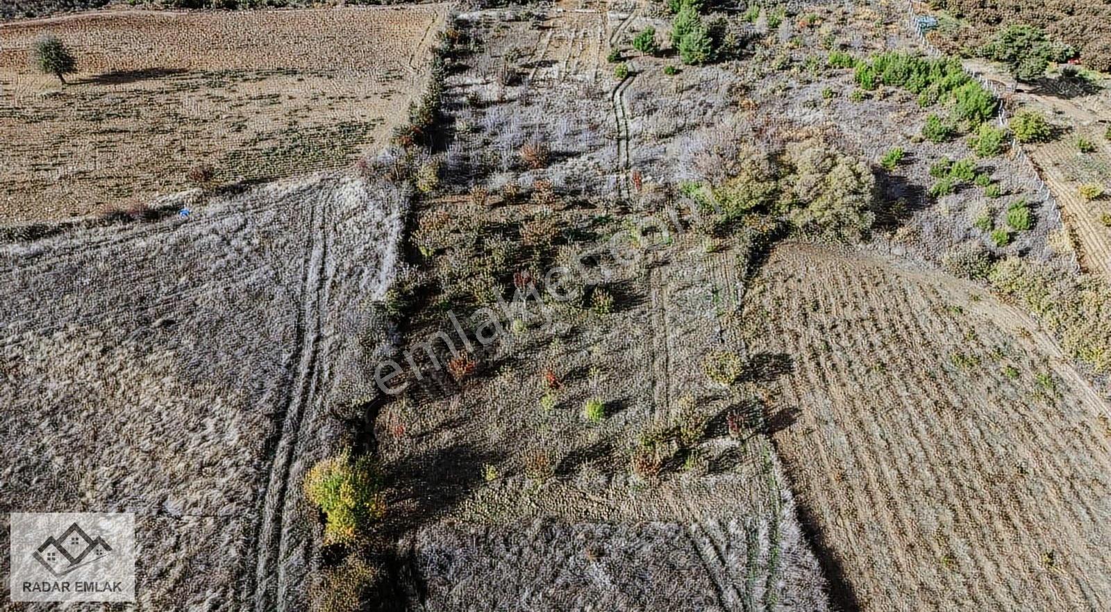 Turgutlu Dağyeniköy Mahallesinde 1907 M2 Tek Tapu Satılık Tarla - Görsel 6
