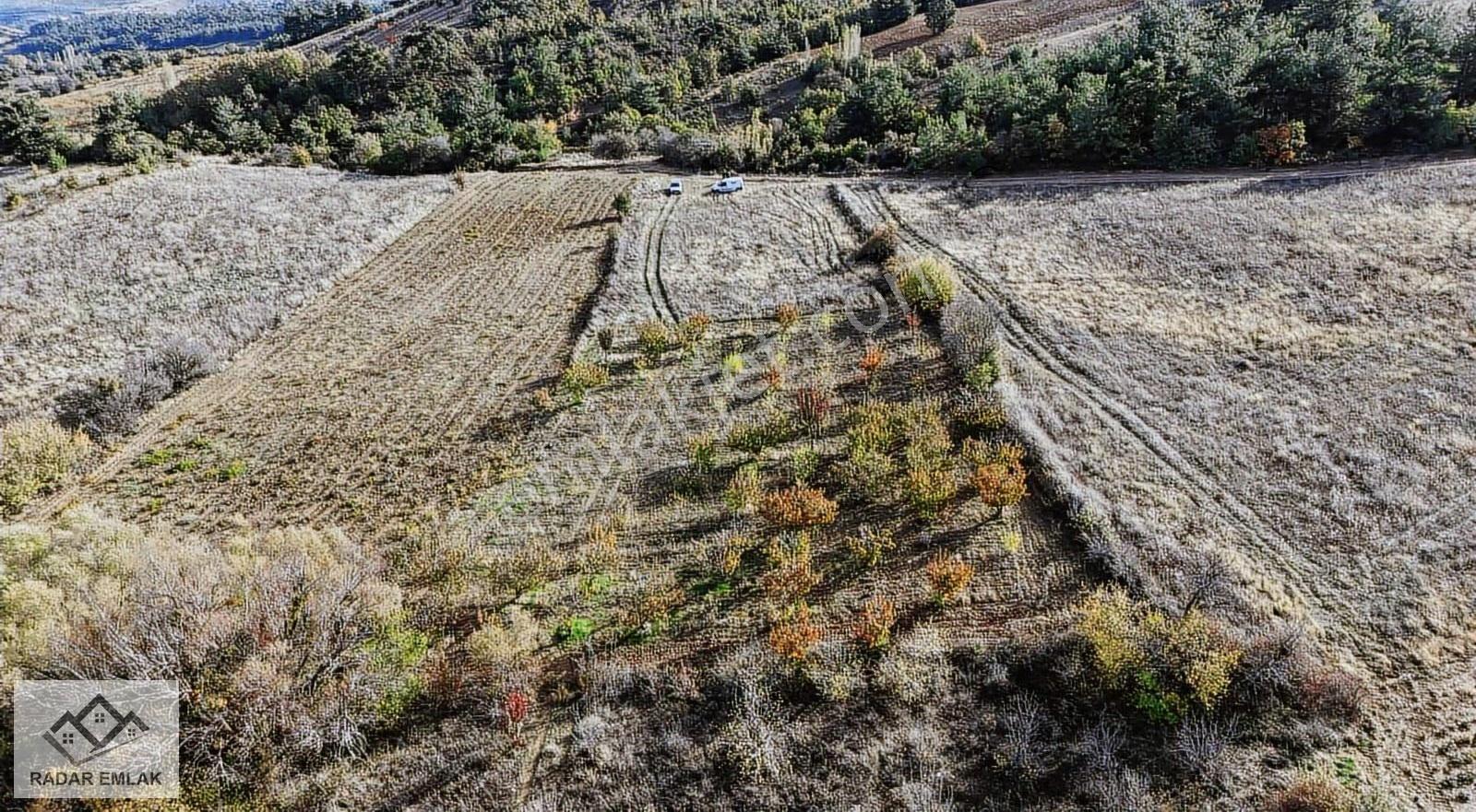Turgutlu Dağyeniköy Mahallesinde 1907 M2 Tek Tapu Satılık Tarla - Görsel 3