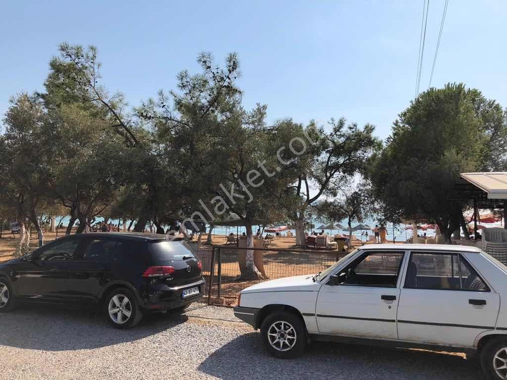 Didim Akbükte Denize 100 Metre Satılık Yatırım Zeytinlik - Görsel 7