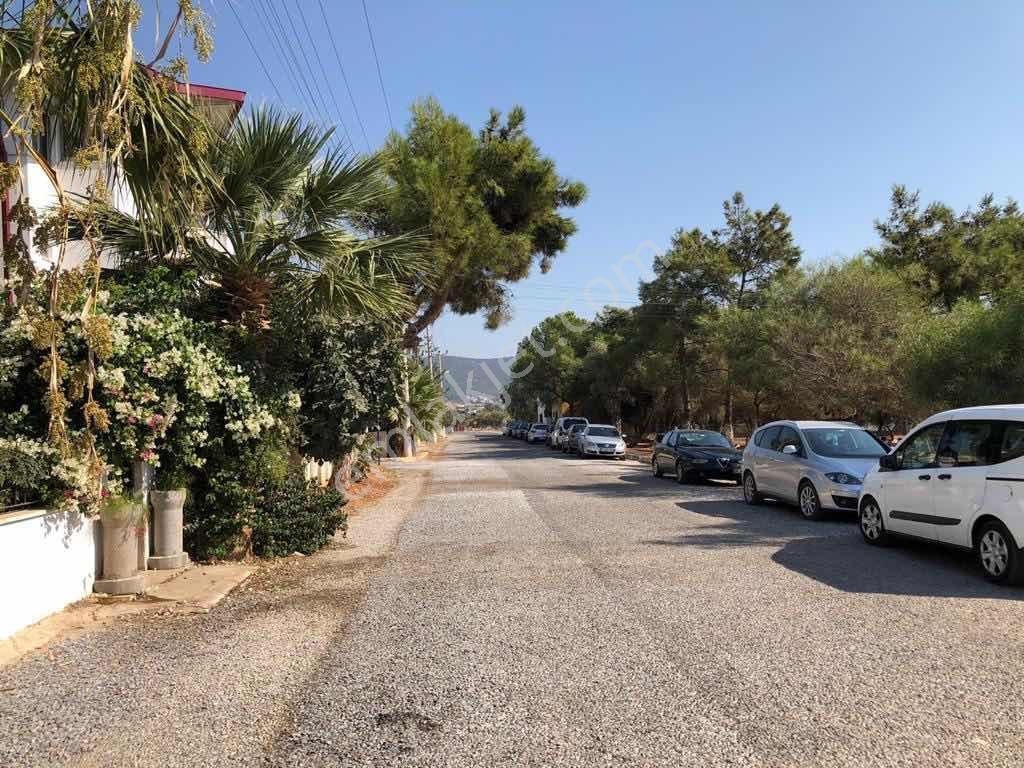 Didim Akbükte Denize 100 Metre Satılık Yatırım Zeytinlik - Görsel 4