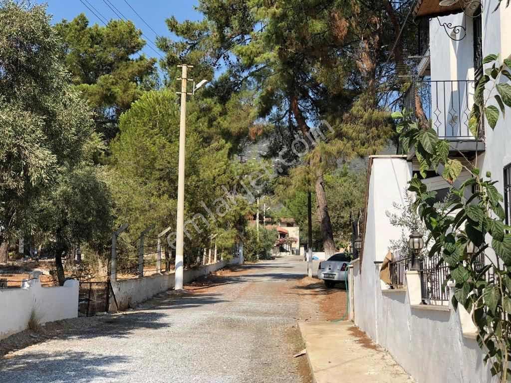 Didim Akbükte Denize 100 Metre Satılık Yatırım Zeytinlik - Görsel 10