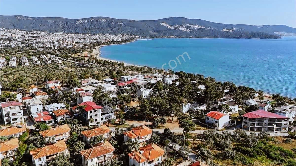 Didim Akbükte Denize 100 Metre Satılık Yatırım Zeytinlik
