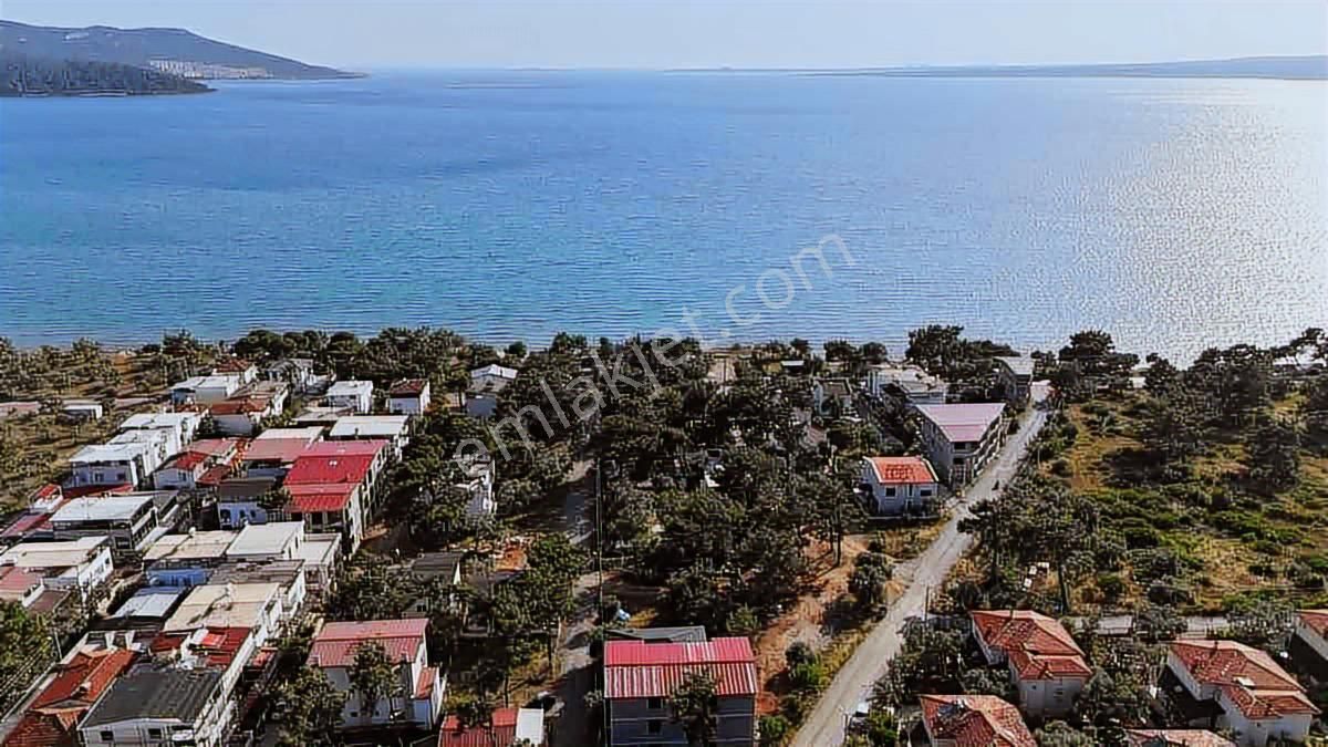 Didim Akbükte Denize 100 Metre Satılık Yatırım Zeytinlik - Görsel 2