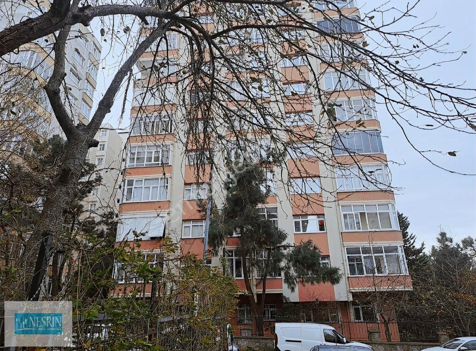 Nesrin Emlak'tan Çamların İçinde Ara Kat Fırsat Daire