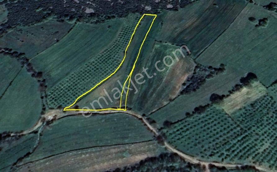 Kandıra Çalköy De Turizm De Yola Cephesi 50 M Denize 2,5 Km - Görsel 4