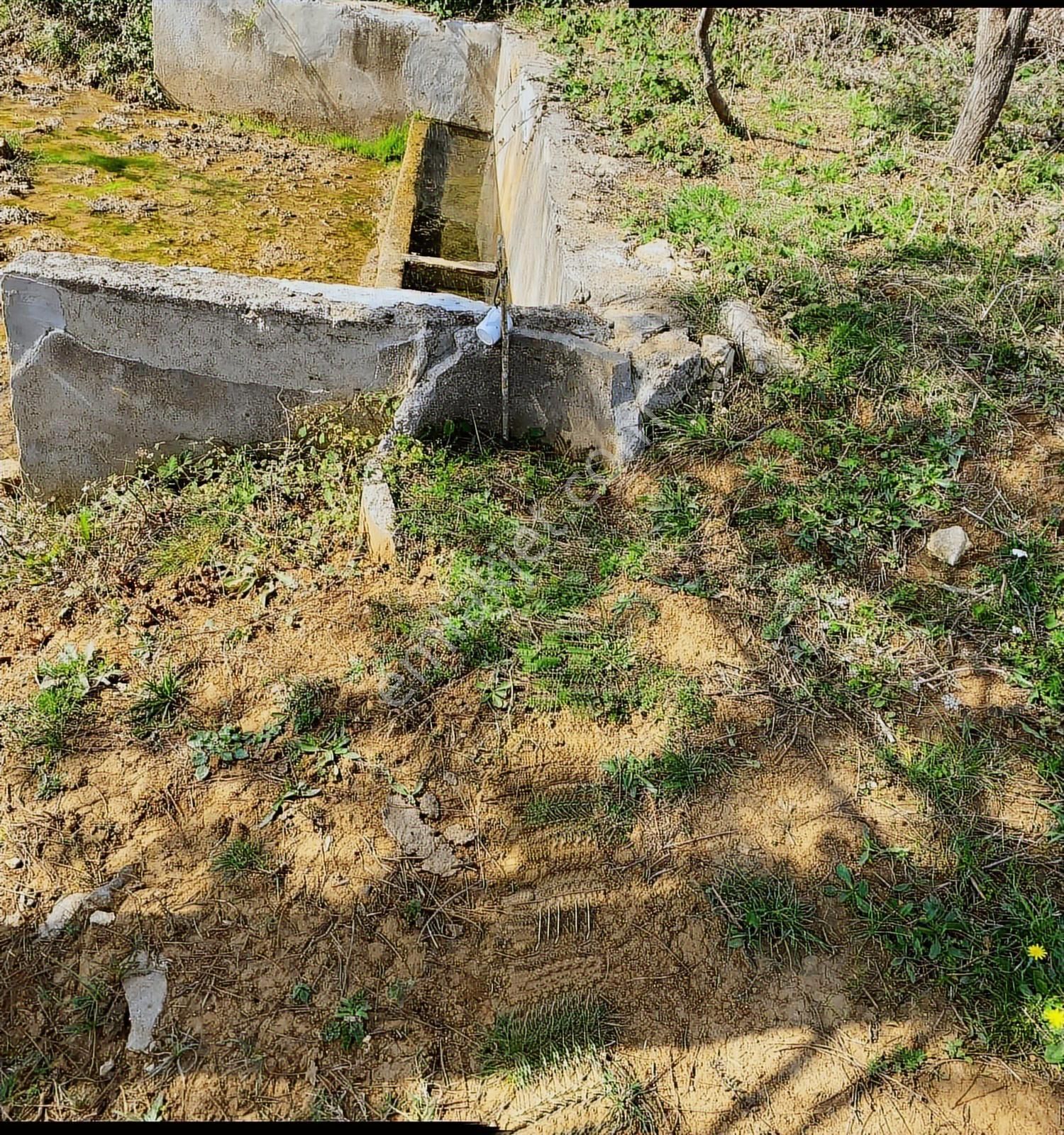 Kandıra Çalköy De Turizm De Yola Cephesi 50 M Denize 2,5 Km - Görsel 19