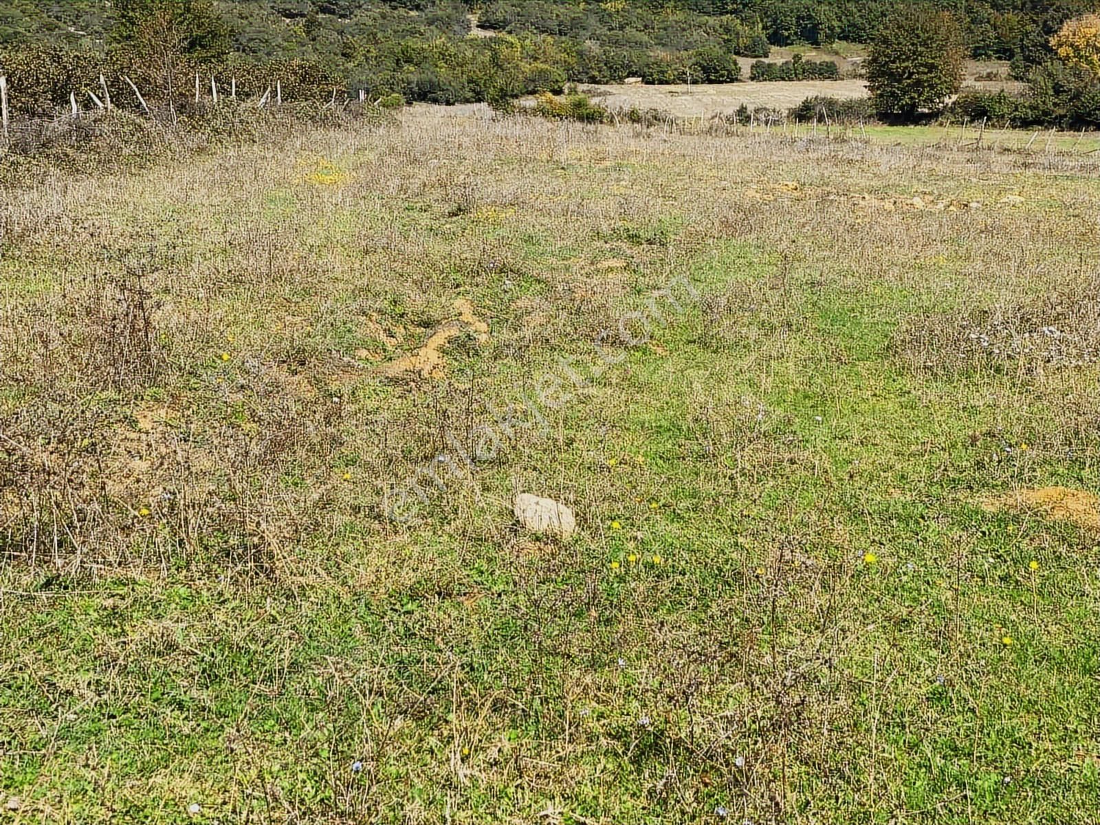 Kandıra Çalköy De Turizm De Yola Cephesi 50 M Denize 2,5 Km - Görsel 14
