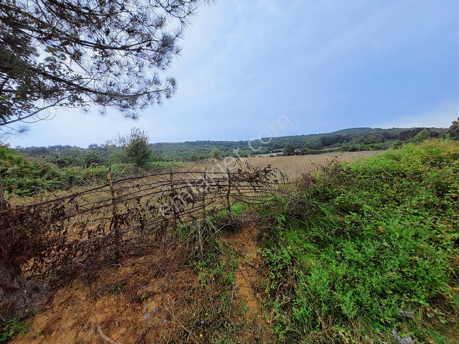 Kandıra Çalköy De Turizm De Yola Cephesi 50 M Denize 2,5 Km - Görsel 32