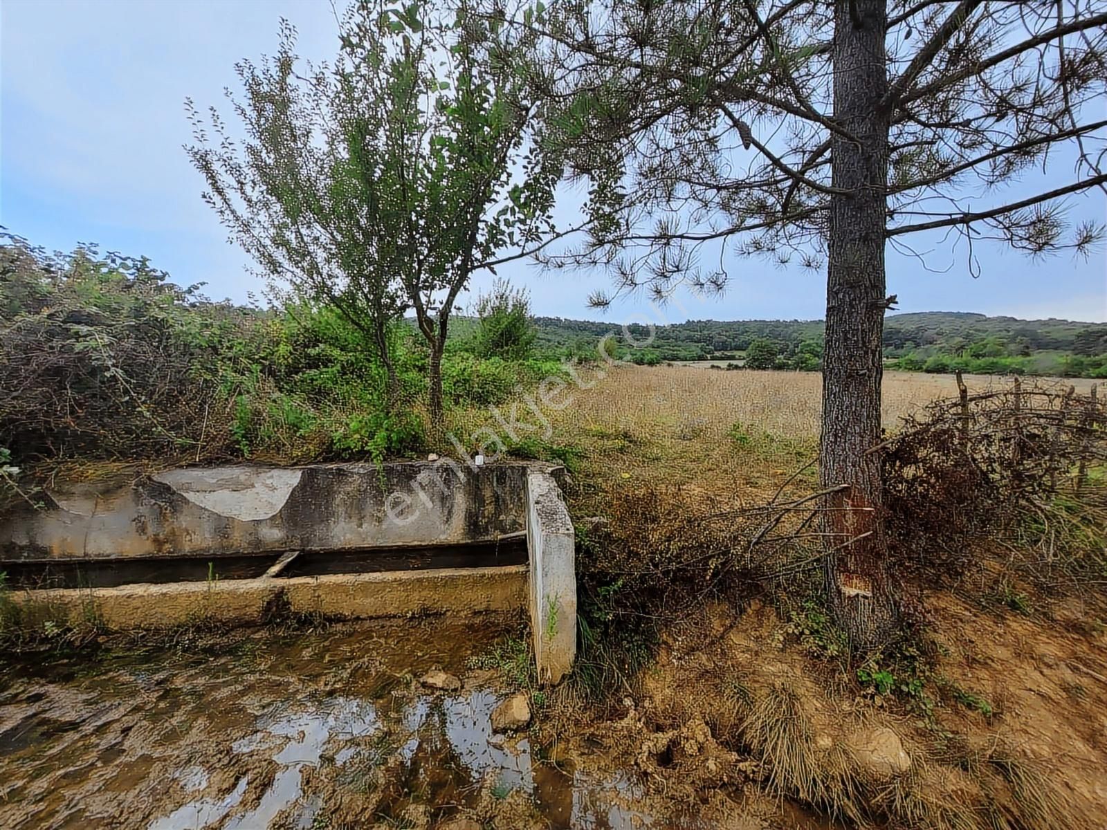Kandıra Çalköy De Turizm De Yola Cephesi 50 M Denize 2,5 Km - Görsel 23