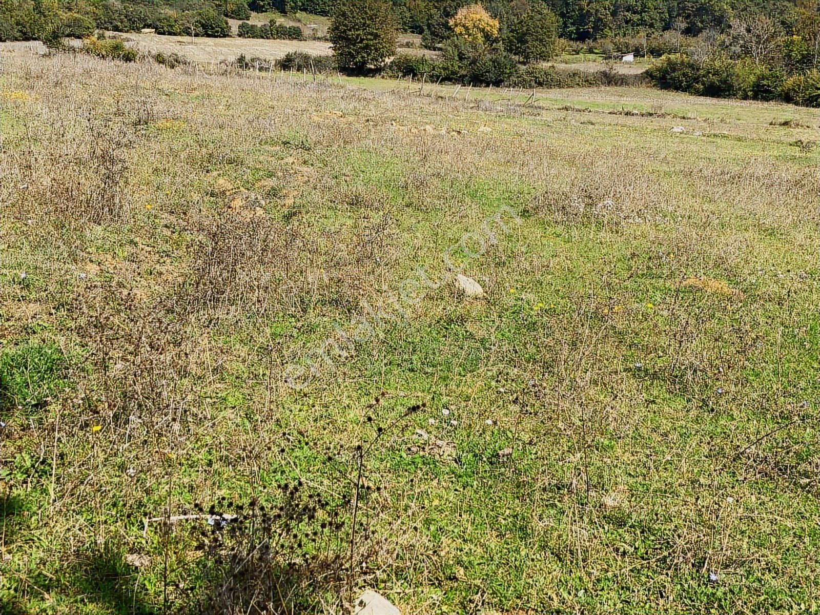Kandıra Çalköy De Turizm De Yola Cephesi 50 M Denize 2,5 Km - Görsel 9
