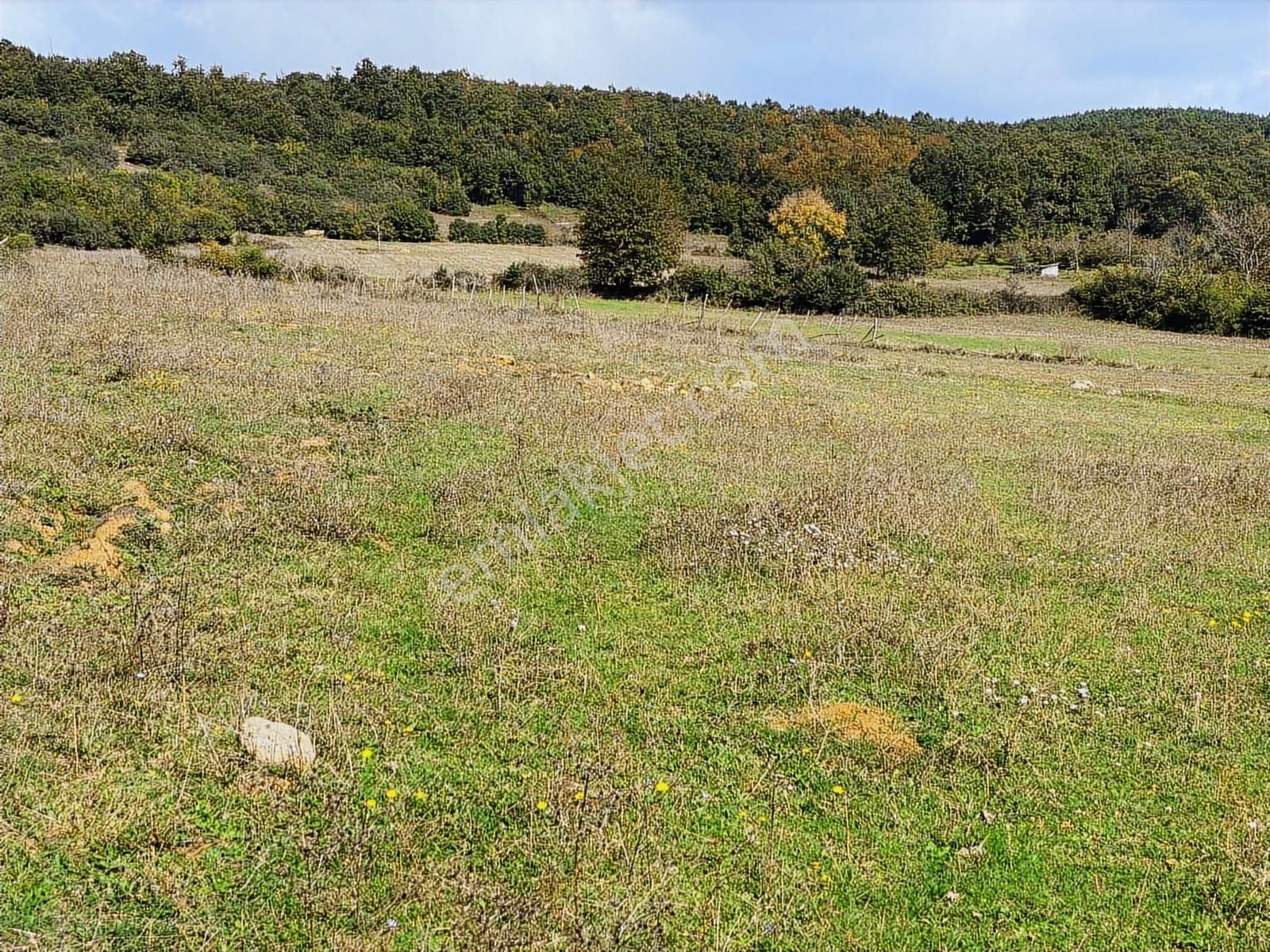 Kandıra Çalköy De Turizm De Yola Cephesi 50 M Denize 2,5 Km - Görsel 17