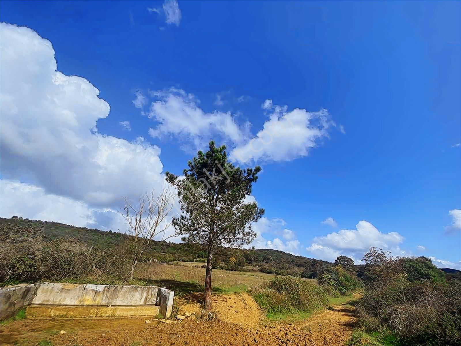 Kandıra Çalköy De Turizm De Yola Cephesi 50 M Denize 2,5 Km - Görsel 22