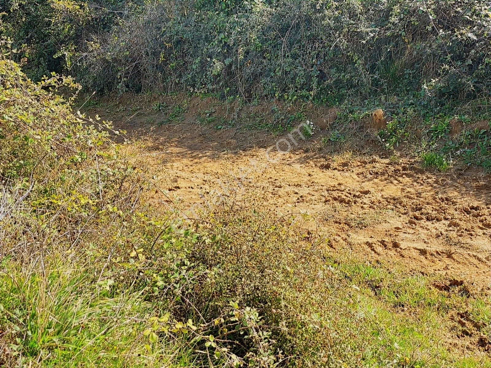 Kandıra Çalköy De Turizm De Yola Cephesi 50 M Denize 2,5 Km - Görsel 5