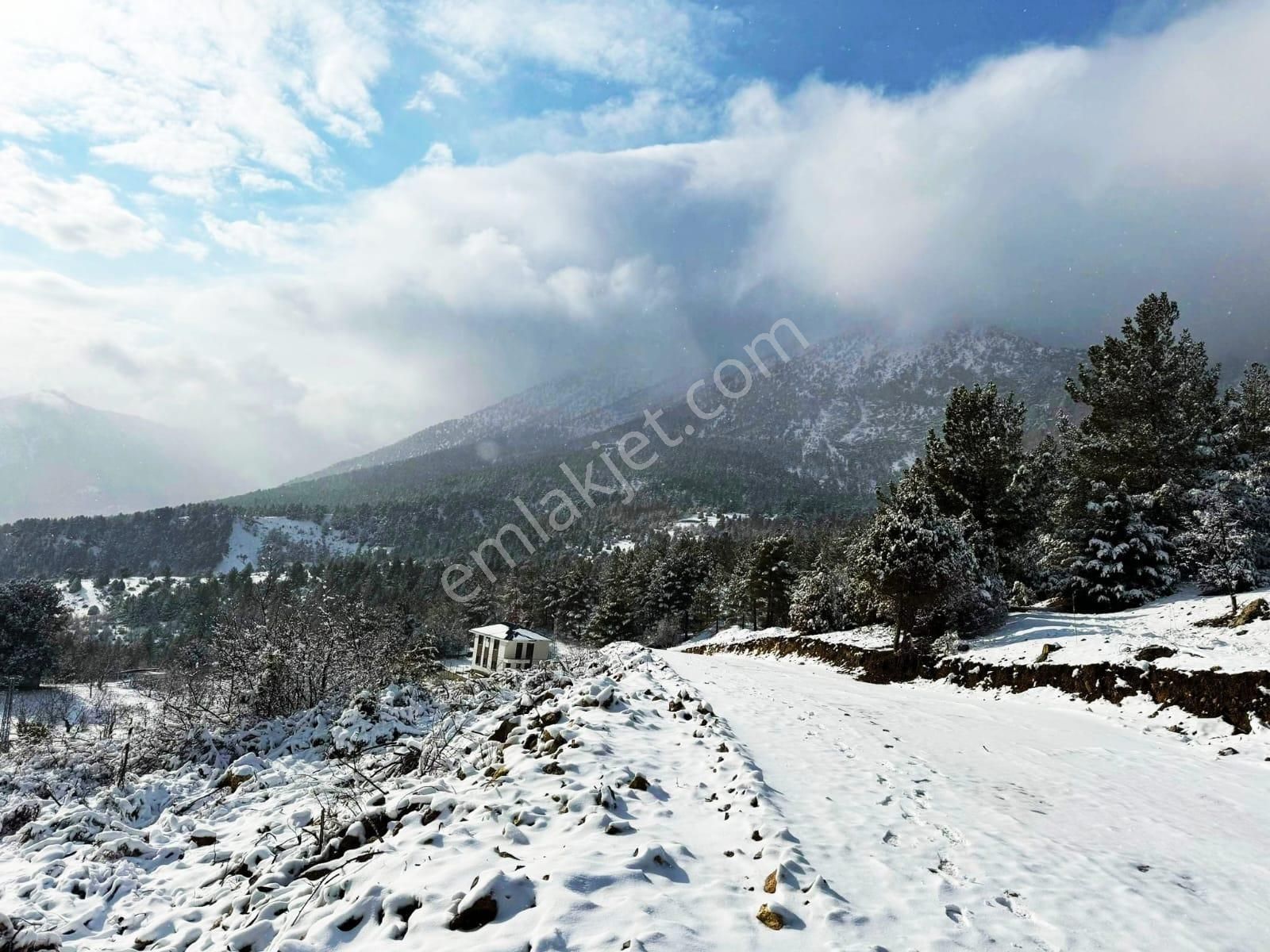 Kar Emlaktan Alpu Yaylasında Yüksek Konumlu 400 M2 Satılık Arsa - Görsel 28
