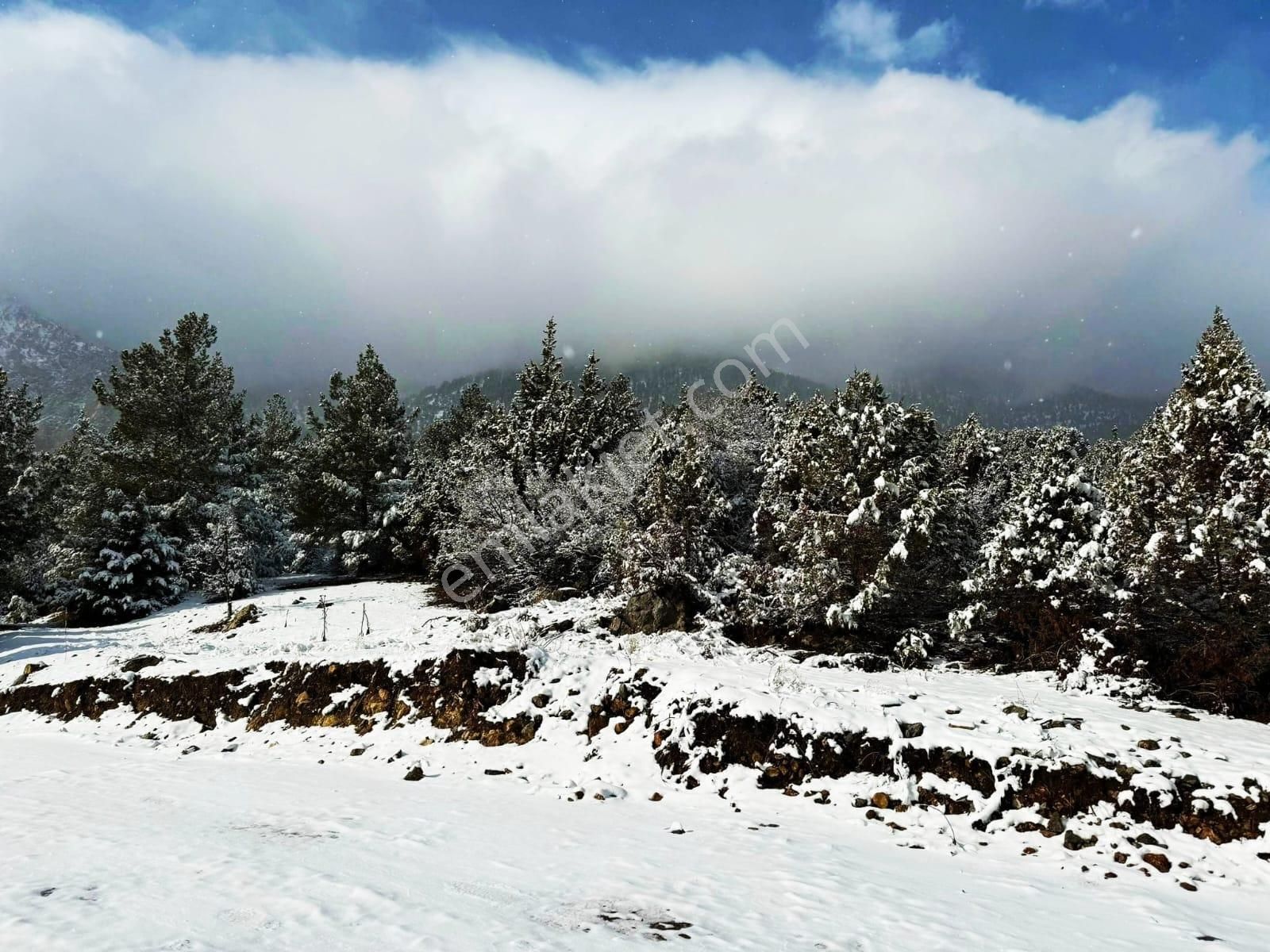 Kar Emlaktan Alpu Yaylasında Yüksek Konumlu 400 M2 Satılık Arsa - Görsel 2