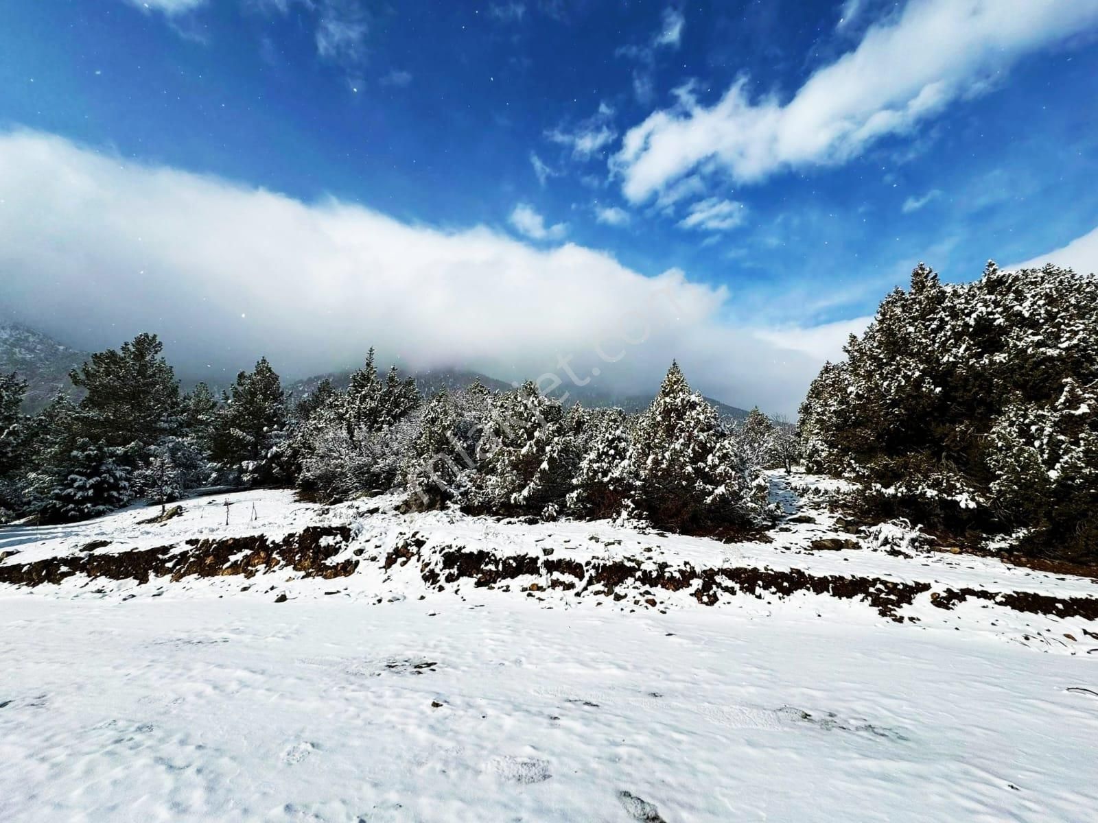 Kar Emlaktan Alpu Yaylasında Yüksek Konumlu 400 M2 Satılık Arsa - Görsel 30