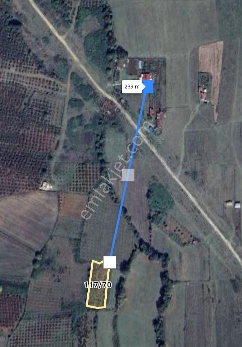 Kandıra Bollu Köyünde Şekli Güzel Turizm Bölgesinde - Görsel 34