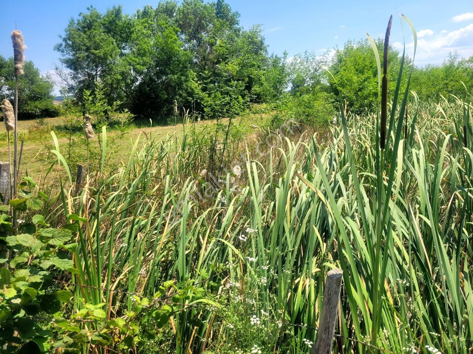 Kandıra Bollu Köyünde Şekli Güzel Turizm Bölgesinde - Görsel 12