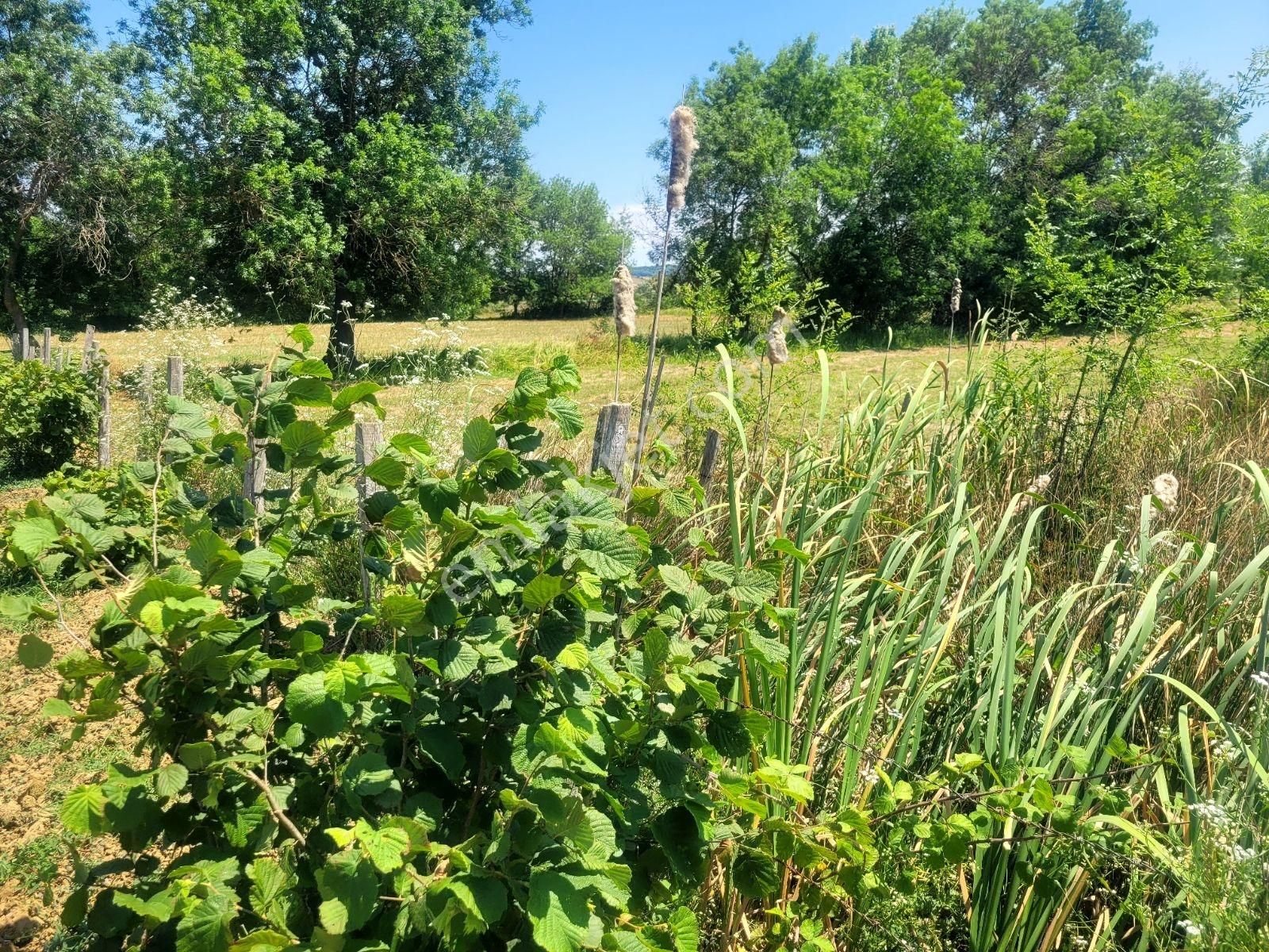 Kandıra Bollu Köyünde Şekli Güzel Turizm Bölgesinde - Görsel 26