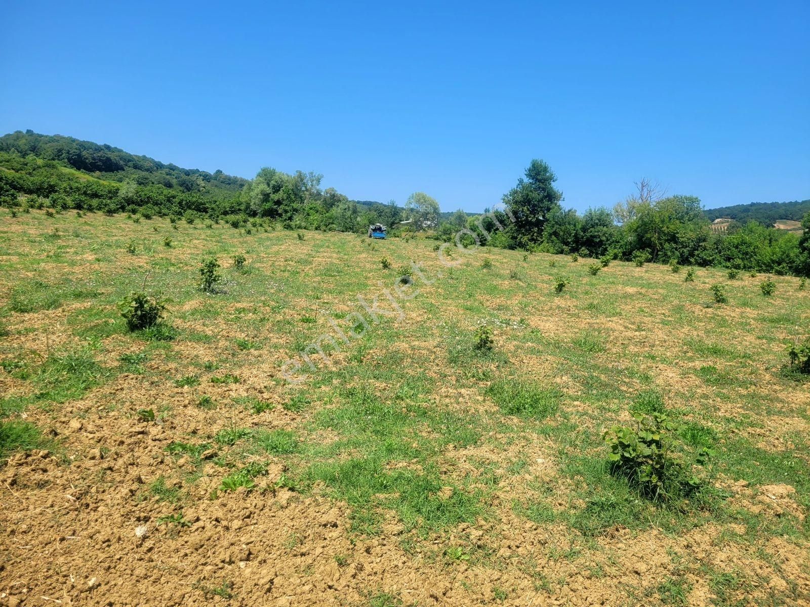 Kandıra Bollu Köyünde Şekli Güzel Turizm Bölgesinde - Görsel 33