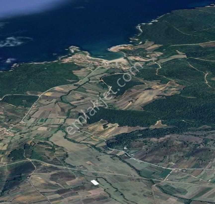 Kandıra Bollu Köyünde Şekli Güzel Turizm Bölgesinde - Görsel 22