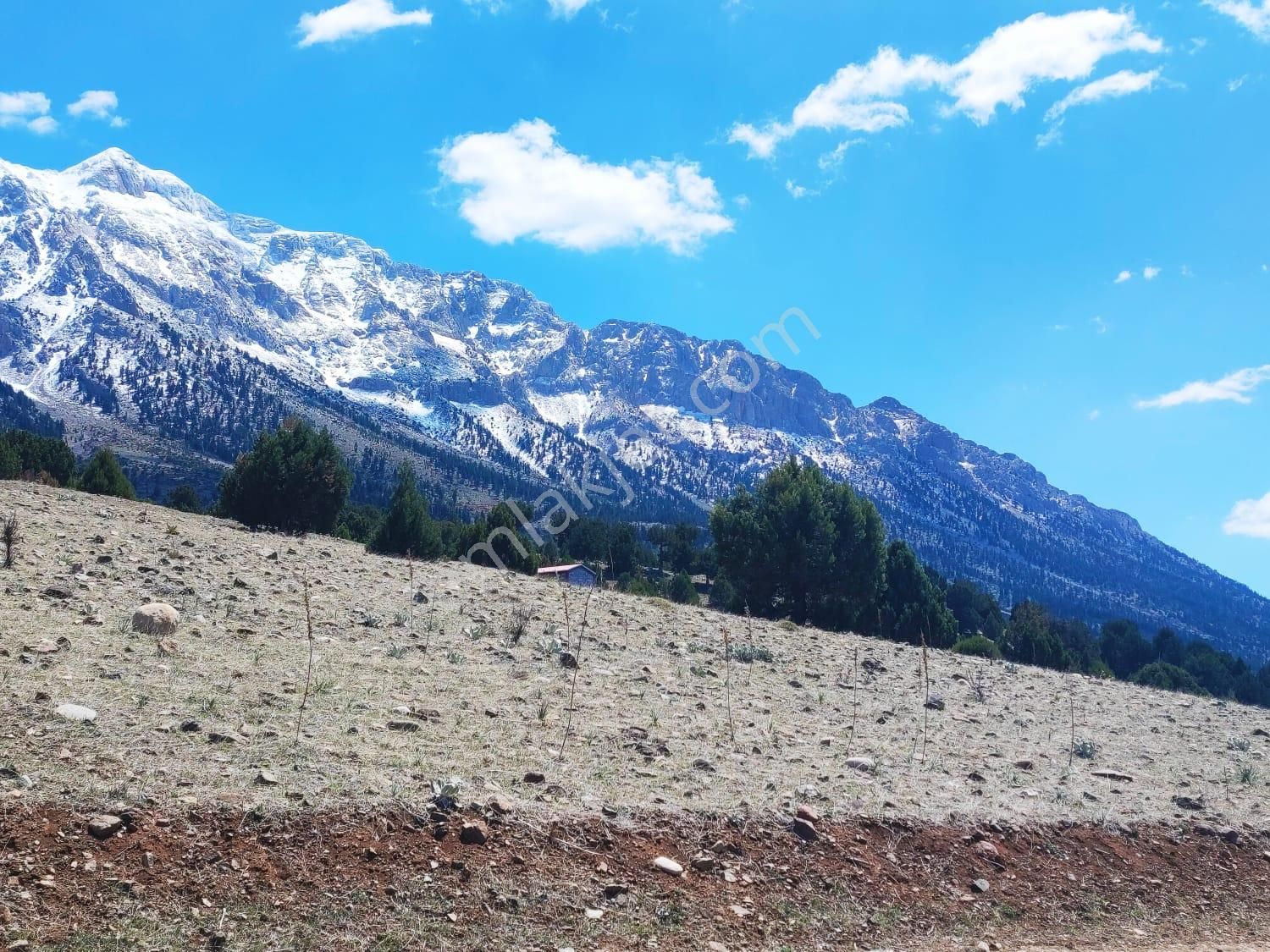 Kar Emlaktan Aşçı Bekirli Fenese Mevkiinde 450 M2 Satılık Arsa - Görsel 16