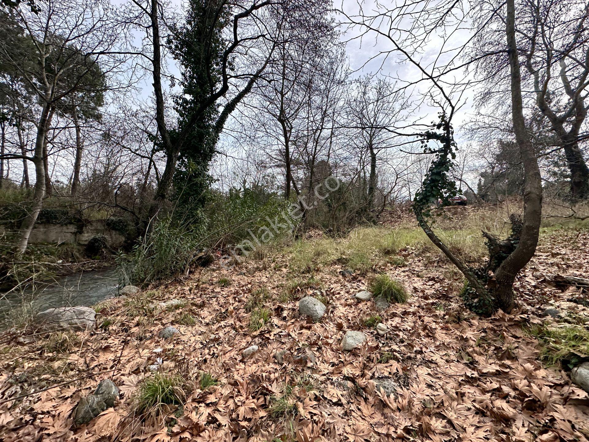 Mera Emlaktan Tuzcumurat Mh. Müstakil T. Yatırımlık 160m2 Bahçe - Görsel 31