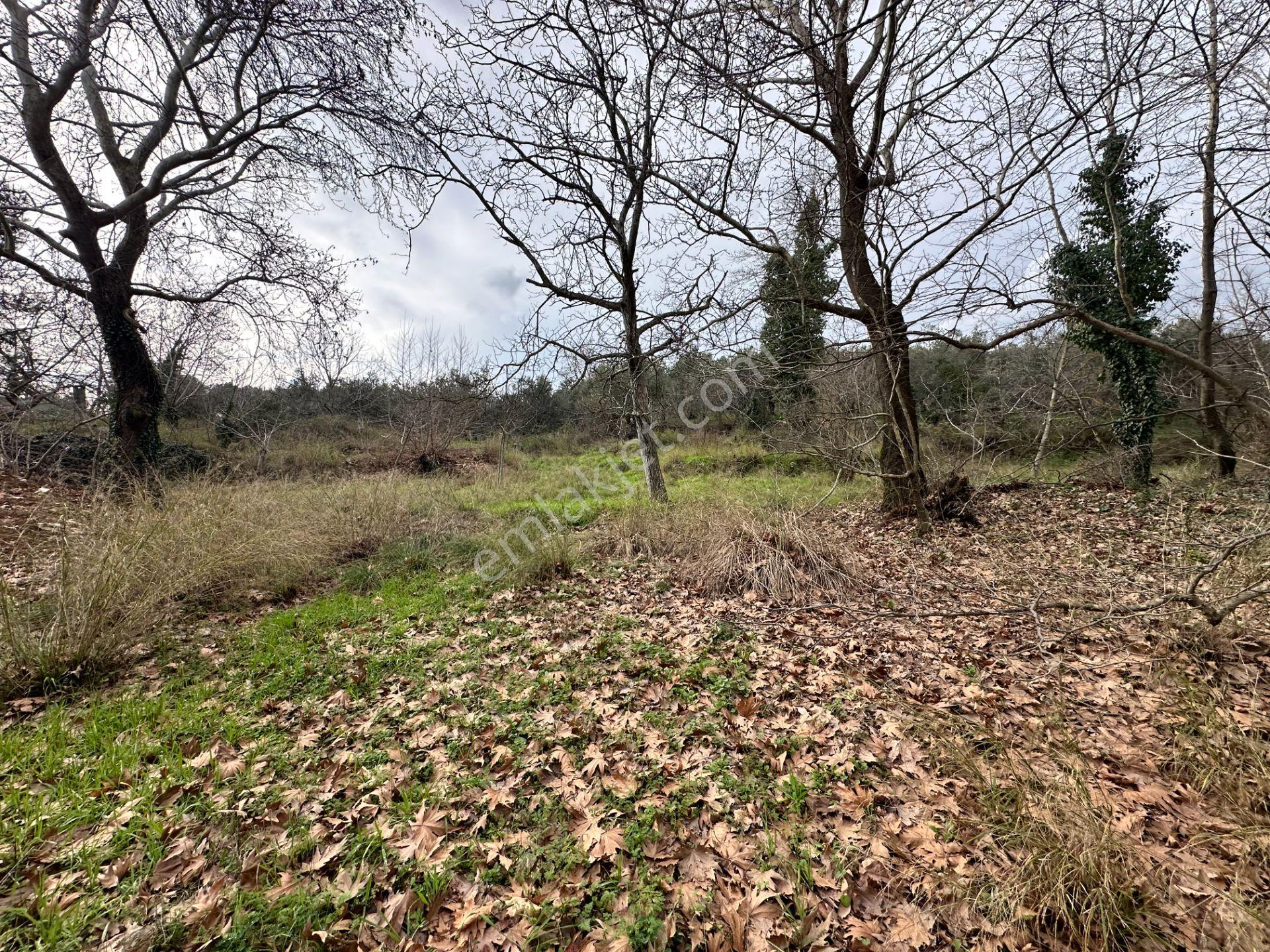 Mera Emlaktan Tuzcumurat Mh. Müstakil T. Yatırımlık 160m2 Bahçe - Görsel 11