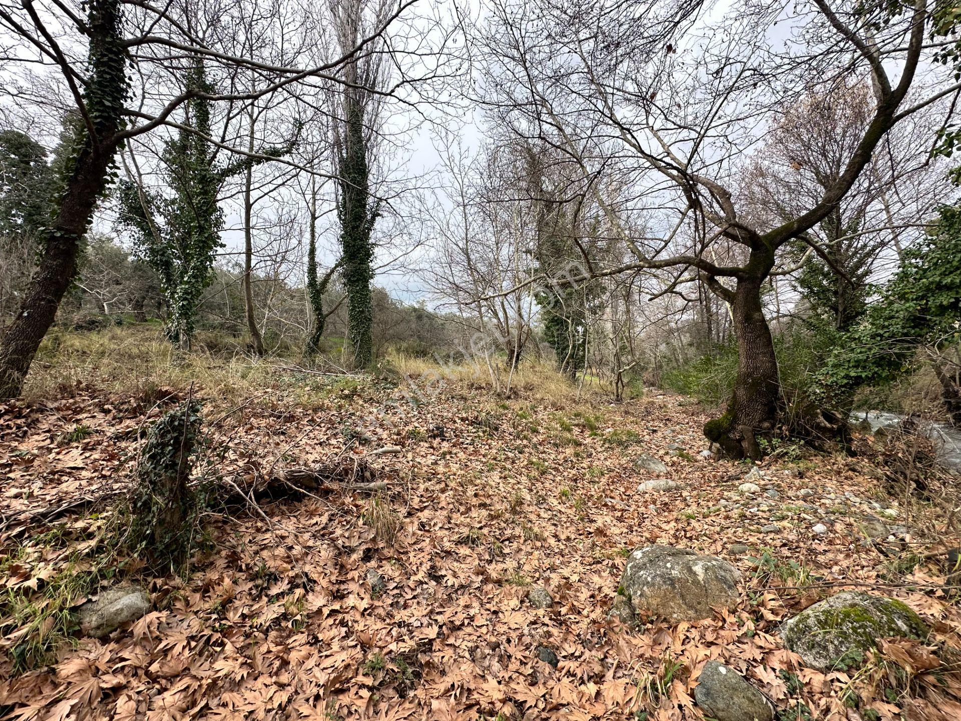 Mera Emlaktan Tuzcumurat Mh. Müstakil T. Yatırımlık 160m2 Bahçe - Görsel 9