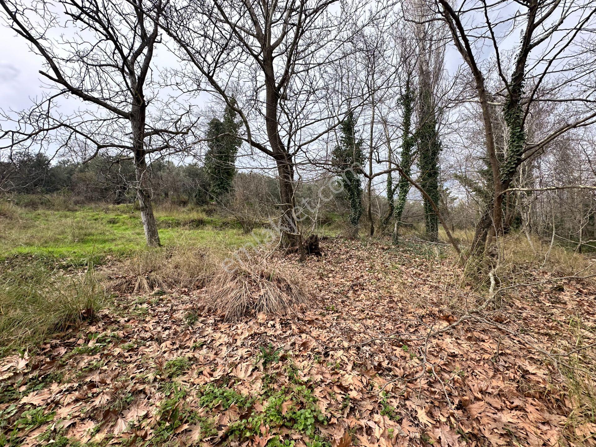 Mera Emlaktan Tuzcumurat Mh. Müstakil T. Yatırımlık 160m2 Bahçe - Görsel 24
