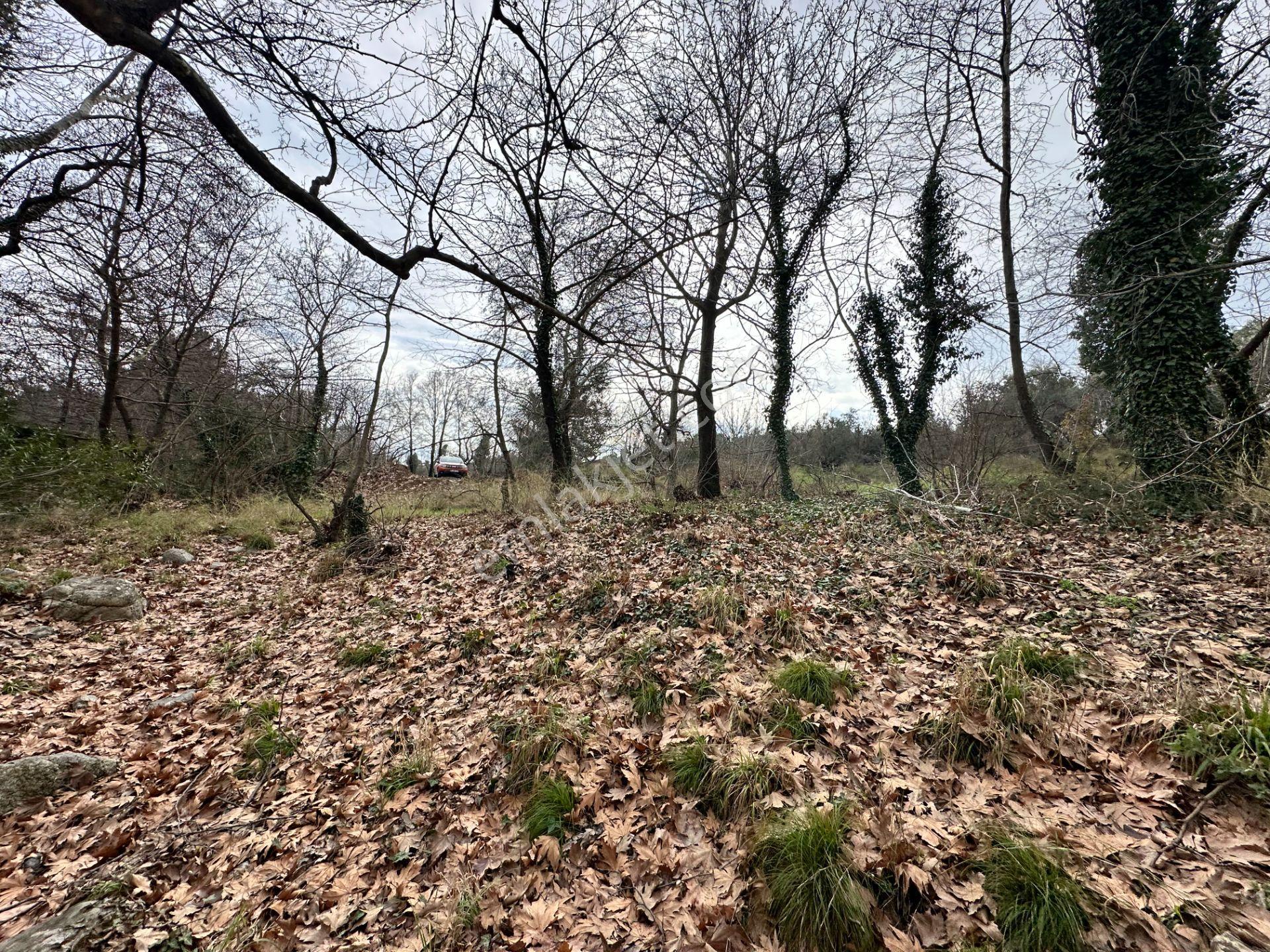 Mera Emlaktan Tuzcumurat Mh. Müstakil T. Yatırımlık 160m2 Bahçe - Görsel 30