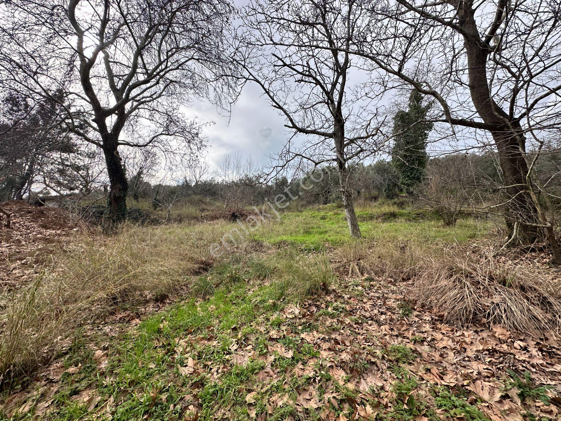 Mera Emlaktan Tuzcumurat Mh. Müstakil T. Yatırımlık 160m2 Bahçe - Görsel 25