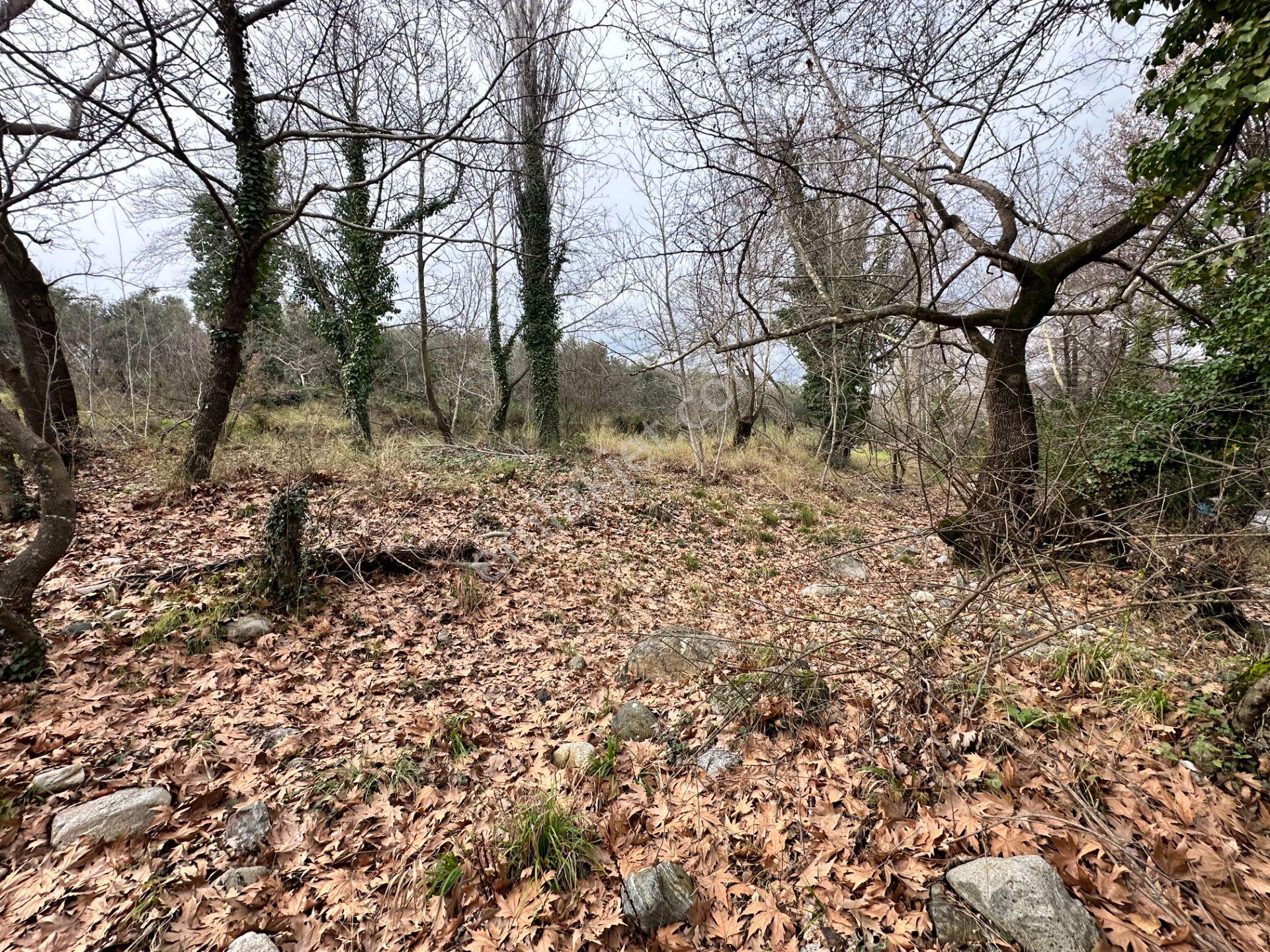 Mera Emlaktan Tuzcumurat Mh. Müstakil T. Yatırımlık 160m2 Bahçe - Görsel 6