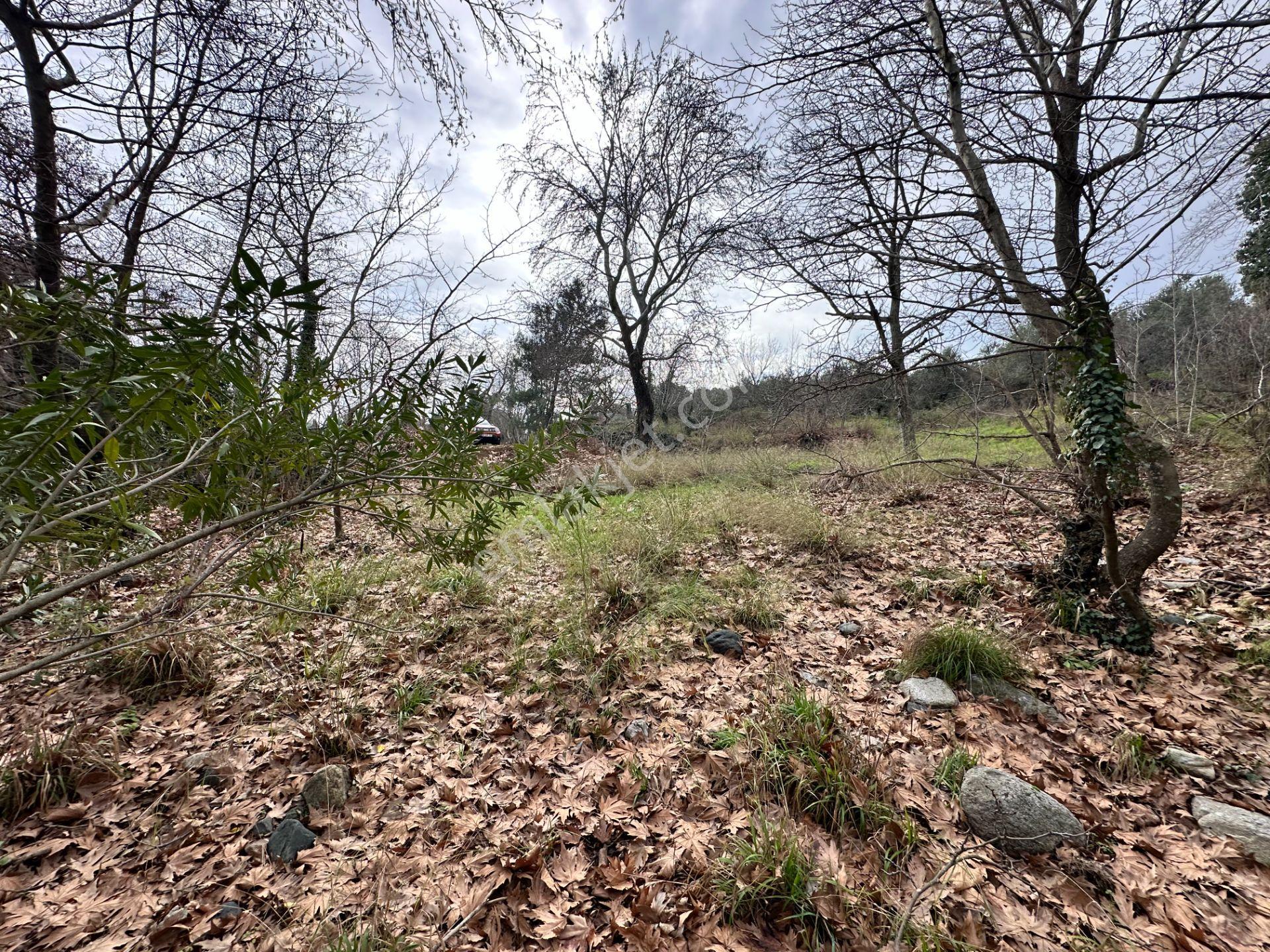 Mera Emlaktan Tuzcumurat Mh. Müstakil T. Yatırımlık 160m2 Bahçe - Görsel 7