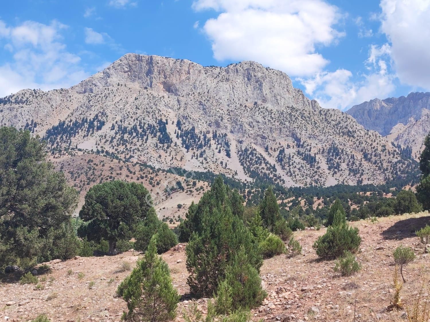 Kar Emlaktan Aşçı Bekirli Fenese Mevkiinde 450 M2 Satılık Arsa - Görsel 12