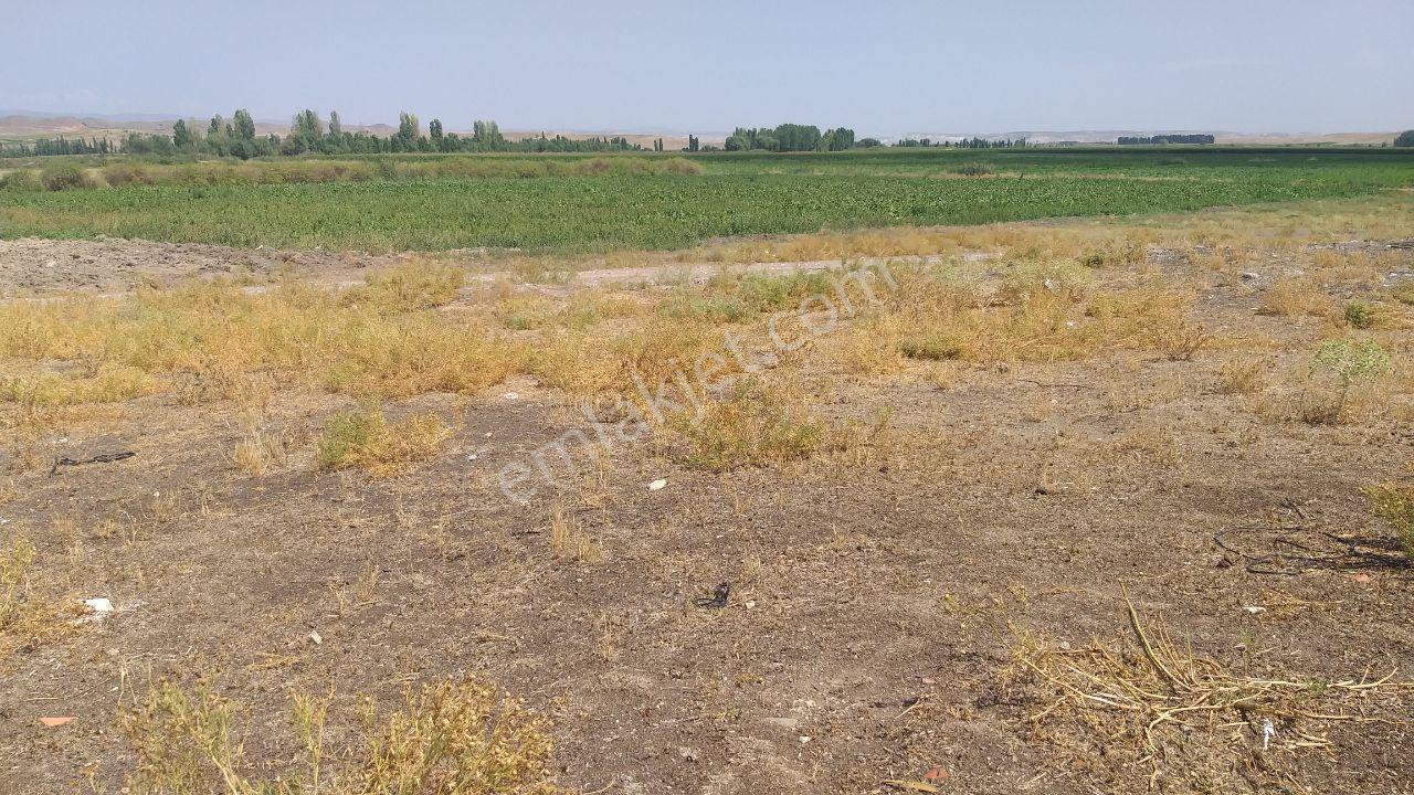 Eskişehir Beylikova Akköprü,de Takasa Açık Satılık Konut İmarlı 946m2 Arsa