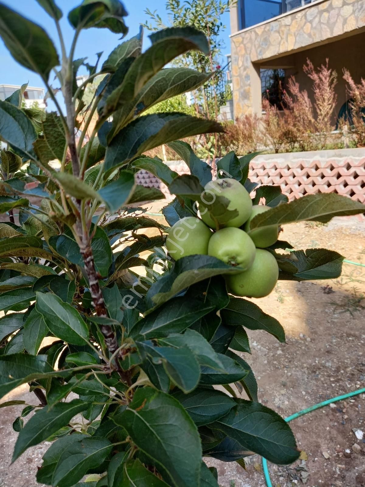 Rw Nefes' Ten Dalış Köyü'nde Site İçerisinde Müstakil 5+2 Villa - Görsel 15