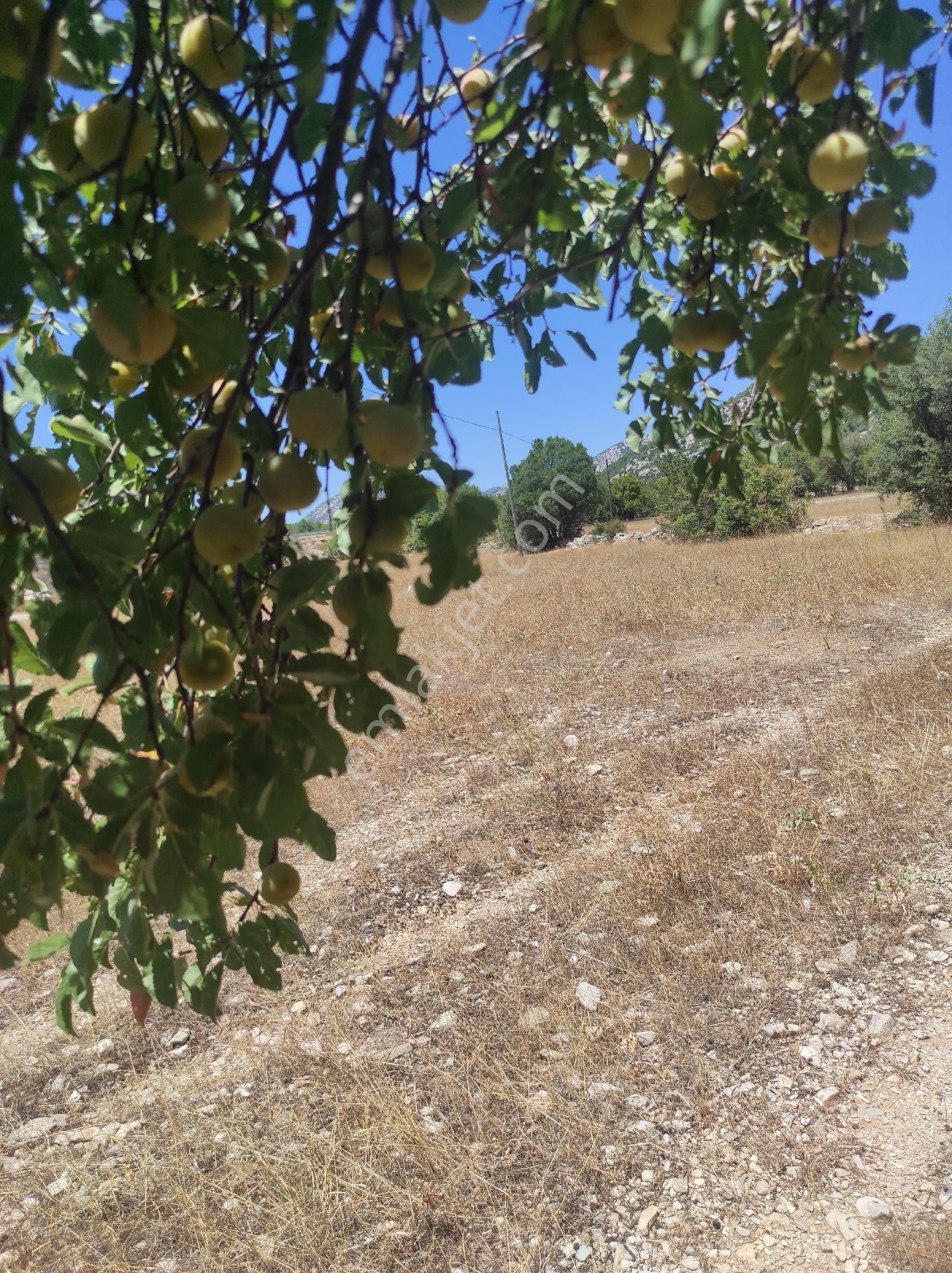 💥💥akseki Emiraşıklada Acil Satılık Köye Yakin Parsel - Görsel 15