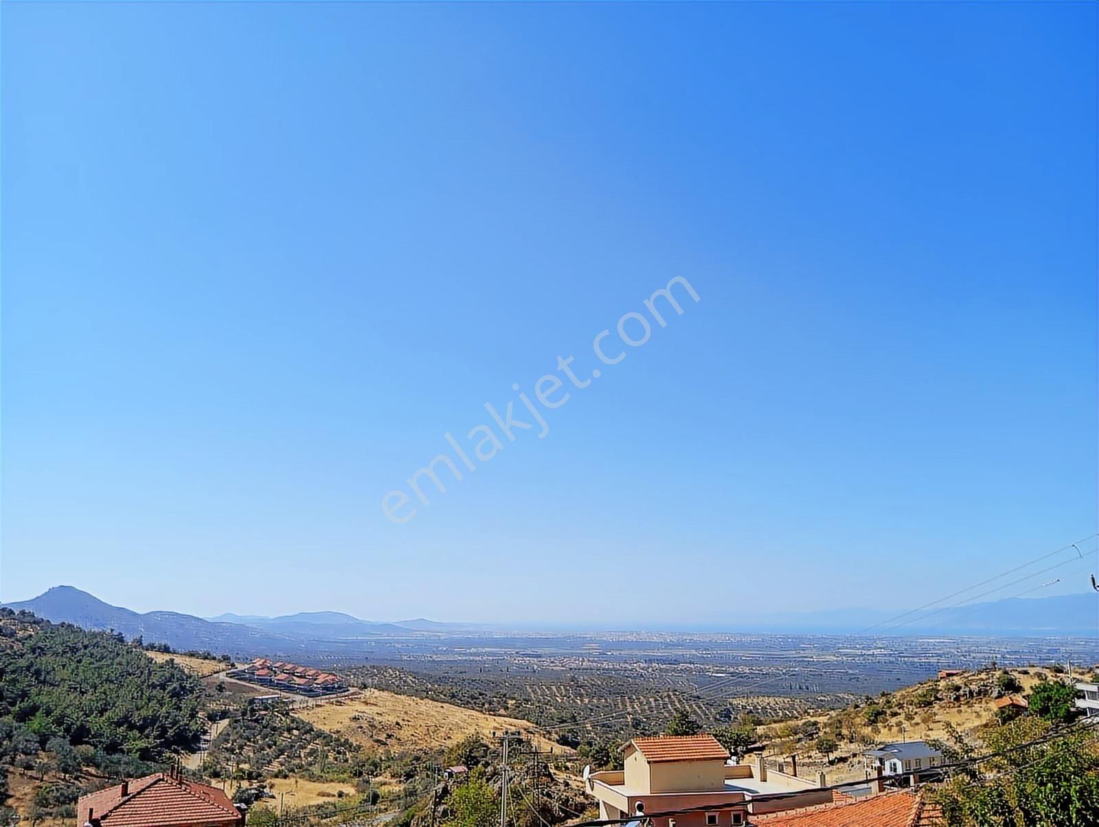 Rw Nefes'ten Dutluca'da Asfalt Dipi 9206m2 180 Ağaçlı Zeytinlik