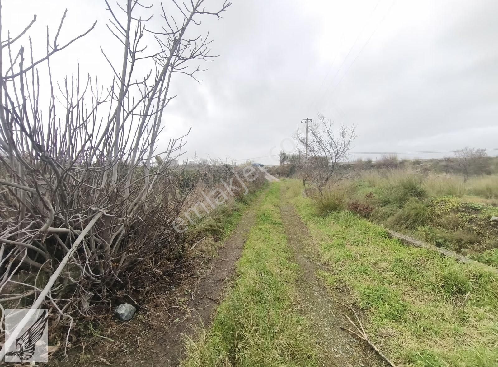 Seferihisar İzmir Yoluna İkinci Parsel İmar Yakını Satılık Bahçe - Görsel 8