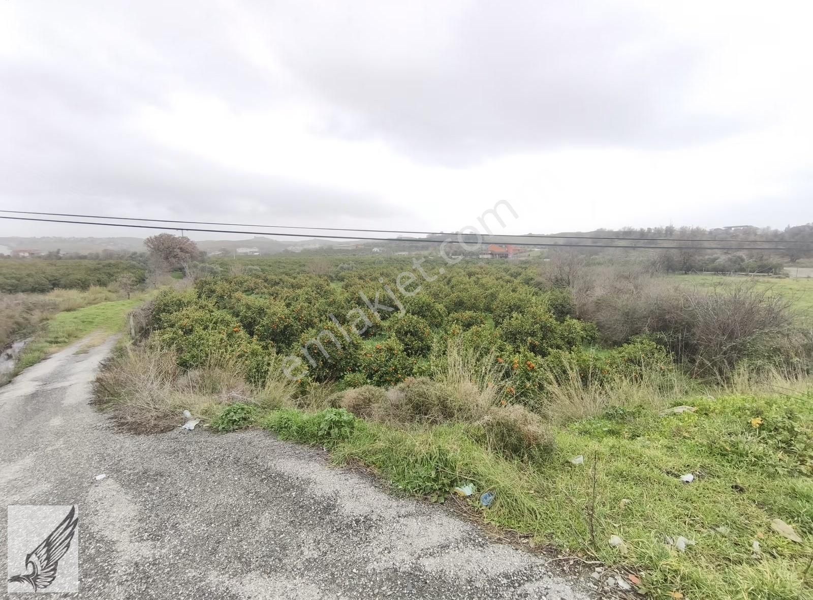 Seferihisar İzmir Yoluna İkinci Parsel İmar Yakını Satılık Bahçe - Görsel 3