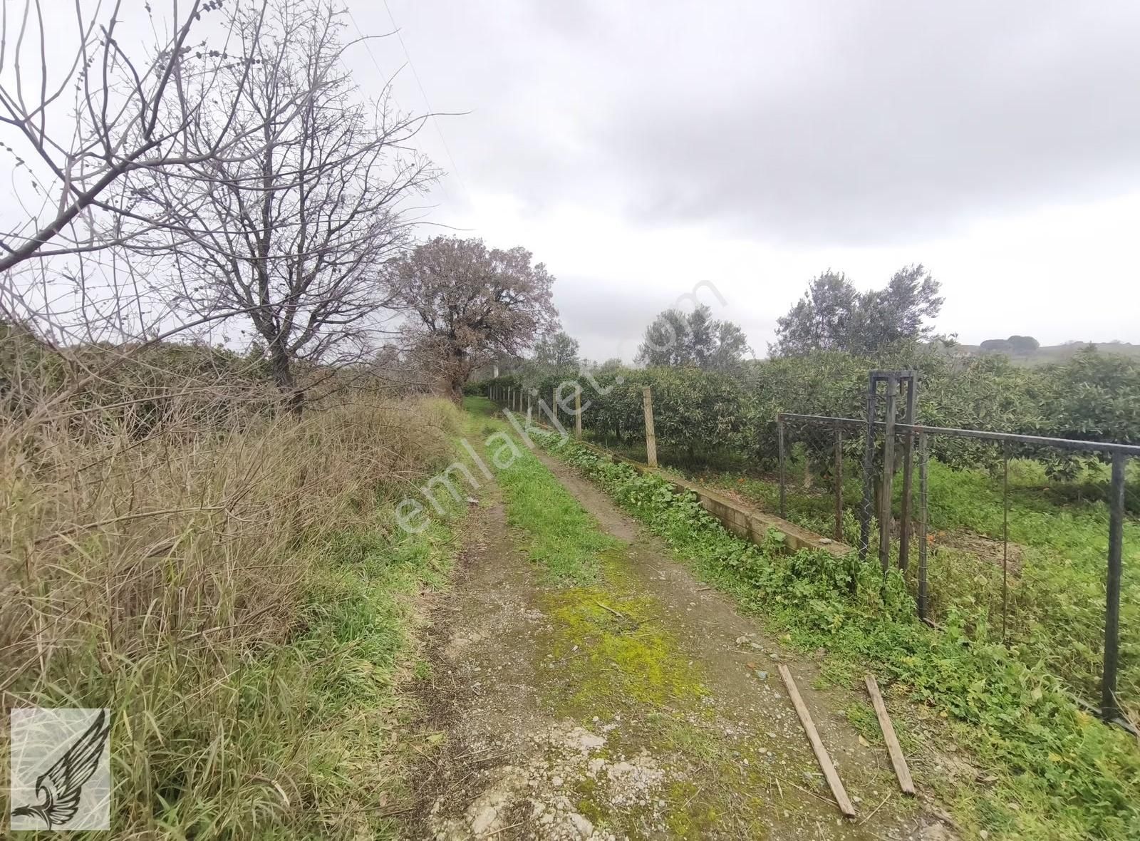 Seferihisar İzmir Yoluna İkinci Parsel İmar Yakını Satılık Bahçe - Görsel 2