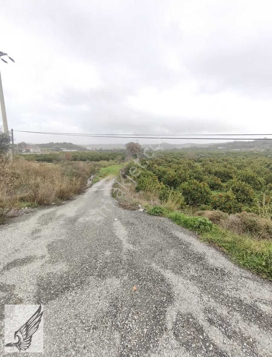 Seferihisar İzmir Yoluna İkinci Parsel İmar Yakını Satılık Bahçe - Görsel 7