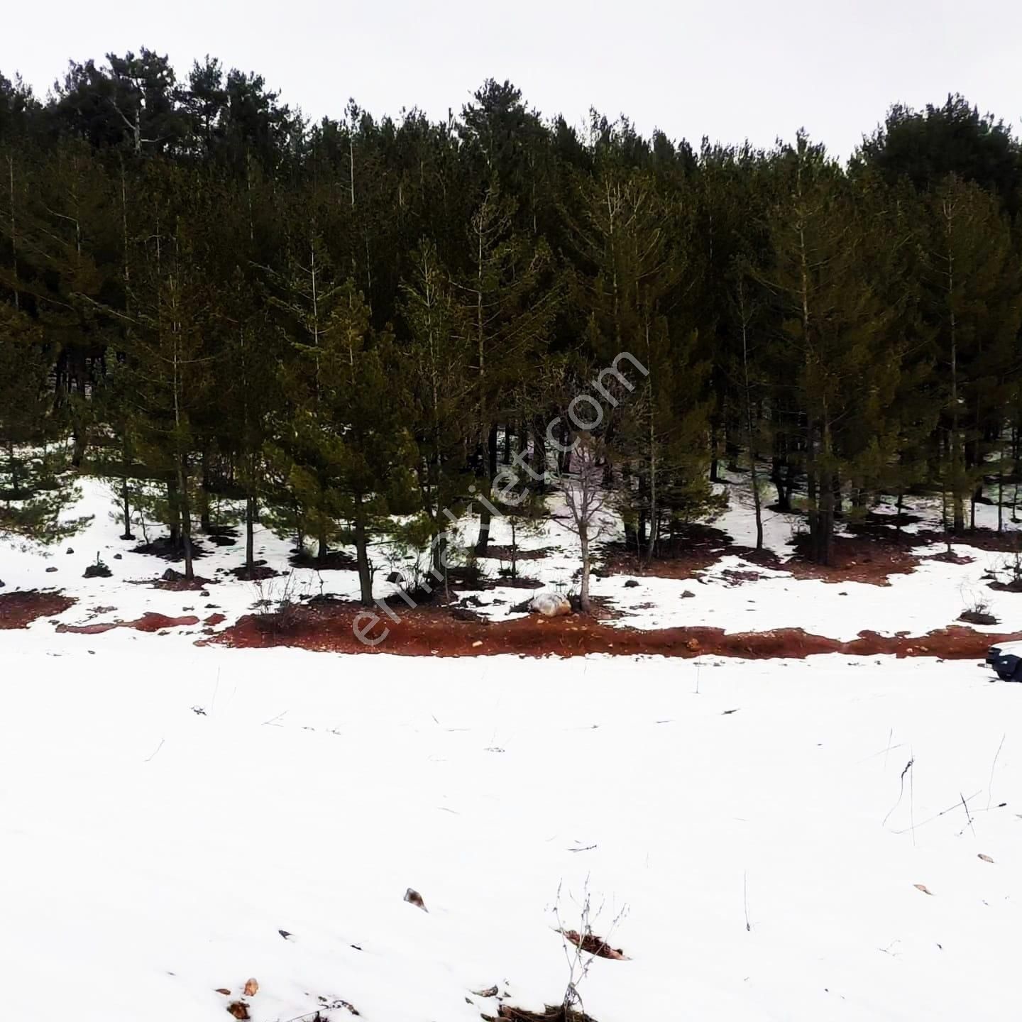 Kar Emlaktan Yeni Konacık Efes Sitesi Yanı 400 M2 Satılık Arsa - Görsel 2