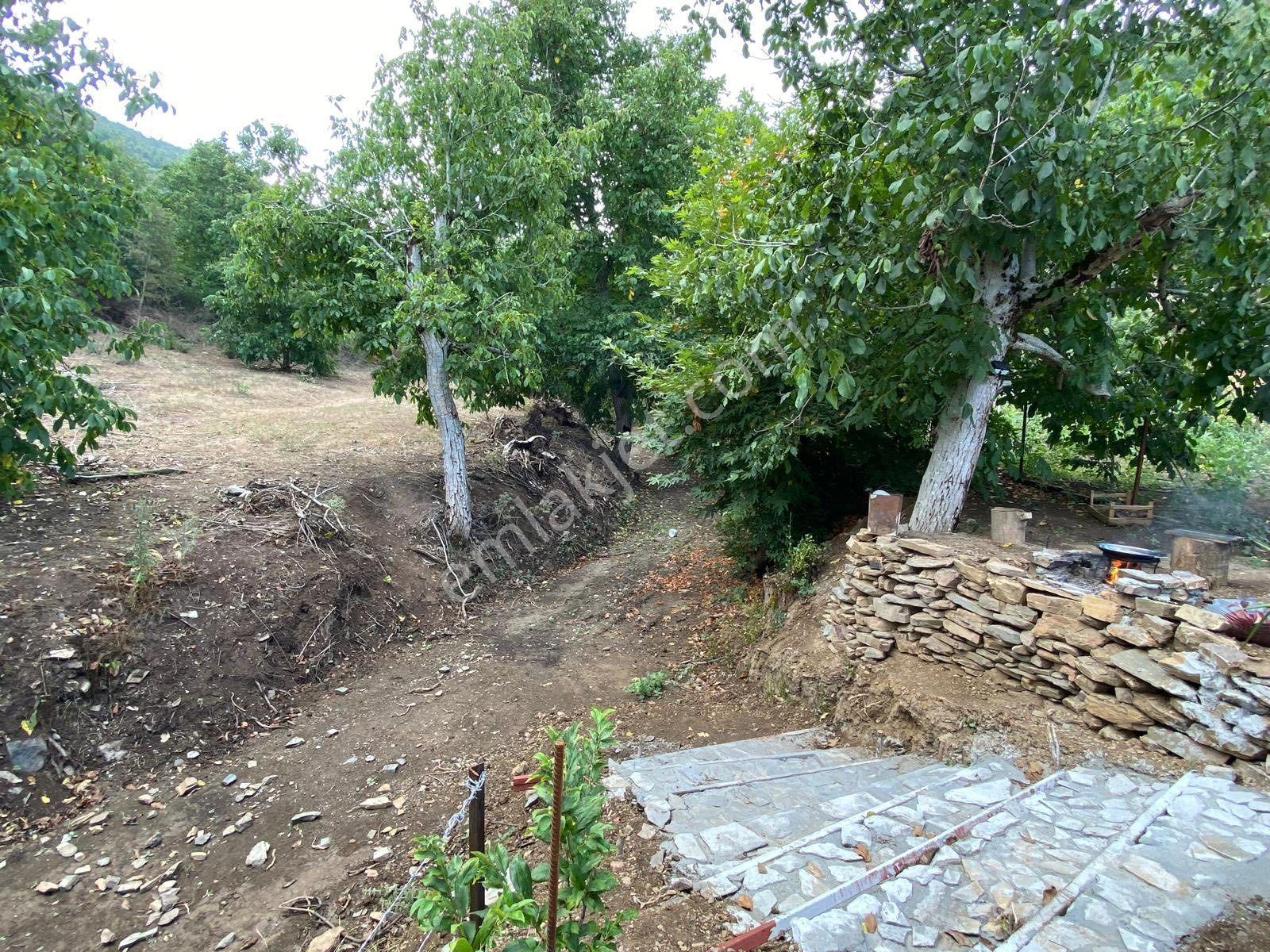 Turgutlu Satılık Dağyeniköy Mah 1.175m2 Dere Kenarı Yer Düz Ve İçinde 13 Adet Ceviz Ağacı Vardır - Görsel 14