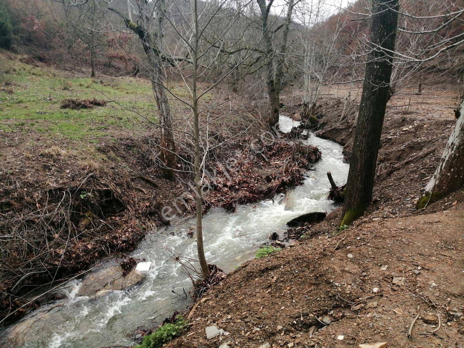 Turgutlu Satılık Dağyeniköy Mah 1.175m2 Dere Kenarı Yer Düz Ve İçinde 13 Adet Ceviz Ağacı Vardır - Görsel 2