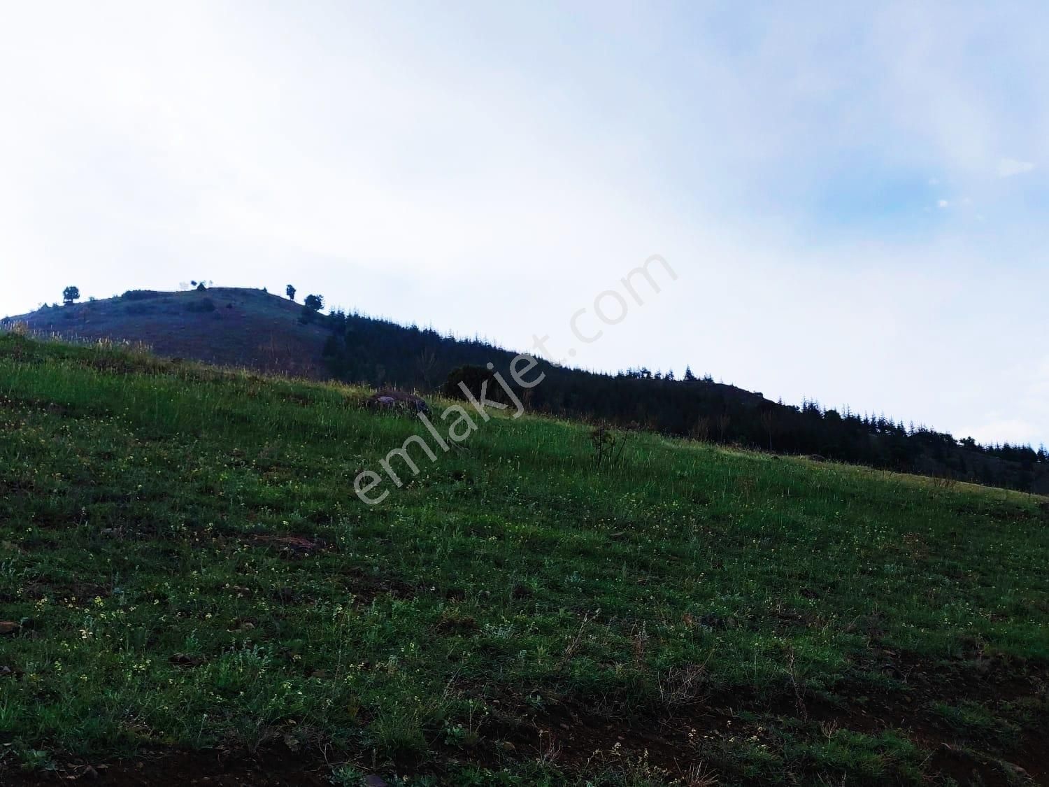 Kar Emlaktan Yazıcak Köyünde 600 M2 Satılık Arsa - Görsel 17