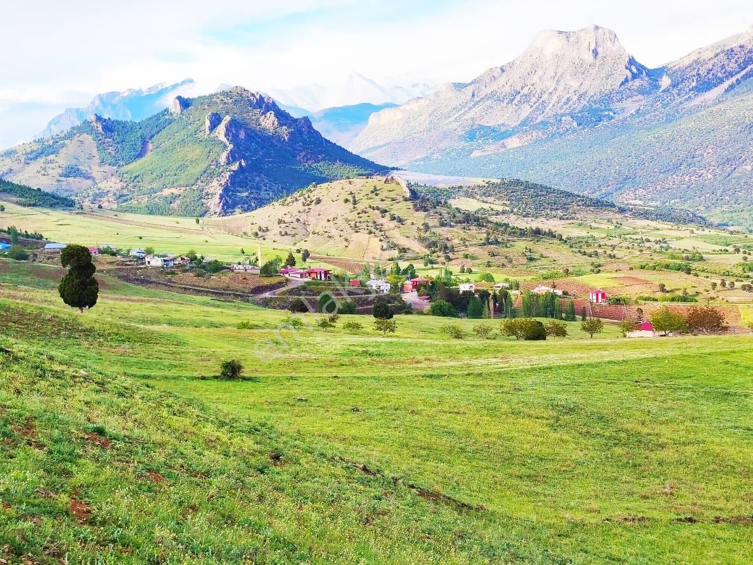 Kar Emlaktan Yazıcak Köyünde 600 M2 Satılık Arsa - Görsel 9