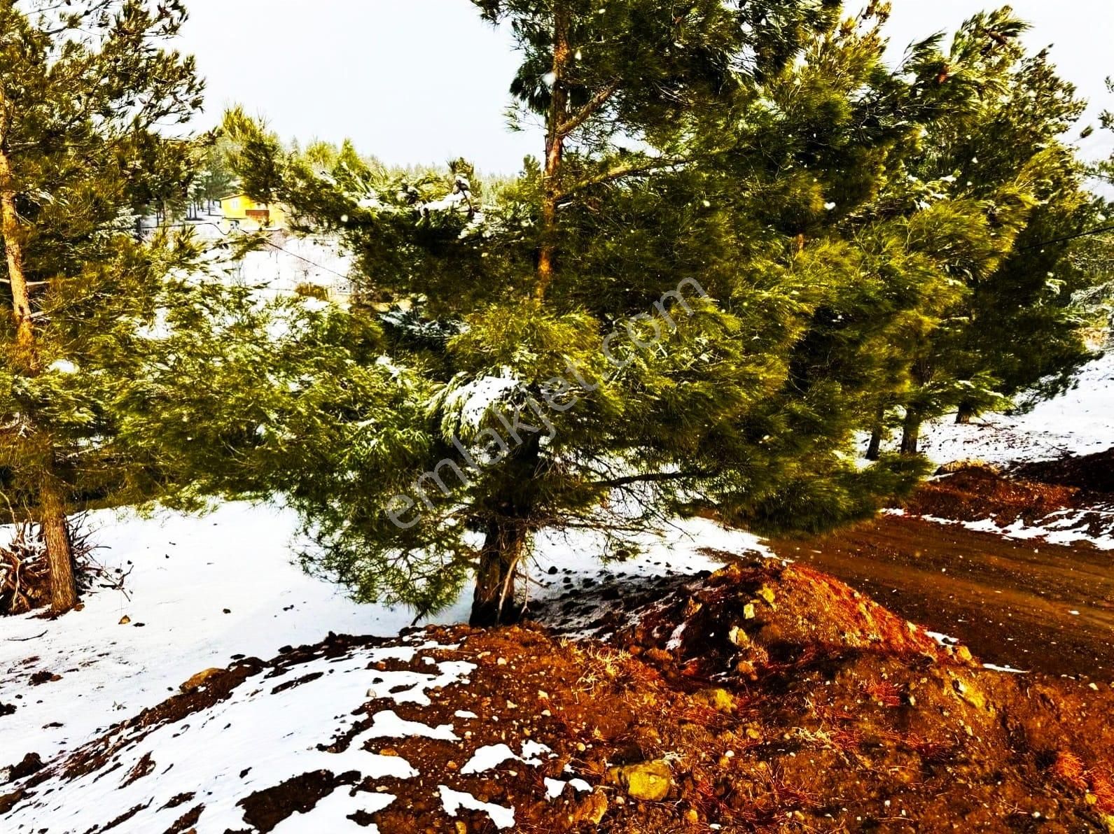 Kar Emlaktan Alpu Yaylasında 500 M2 Satılık Arsa - Görsel 28